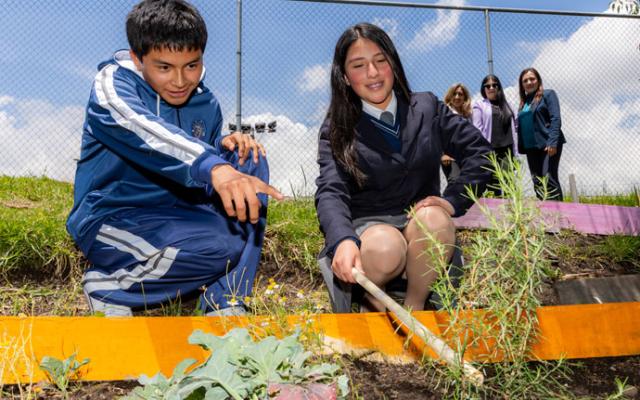 huellas de cambio: cosechando logros