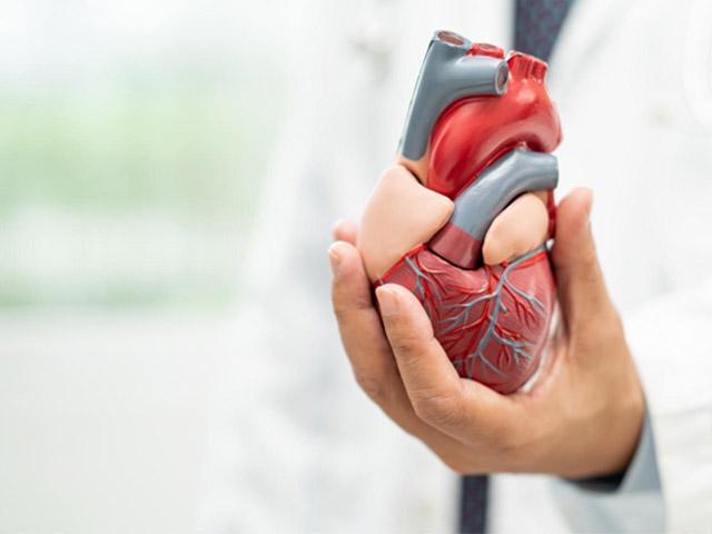 Protege tu Corazón con Bupa