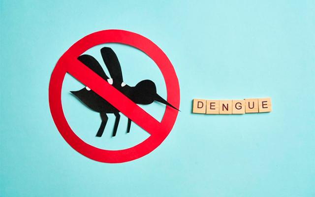 Dengue en temporada de lluvias: cómo prevenirlo a tiempo