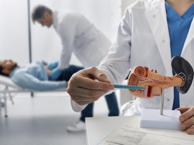 Médicos realizando estudios sobre el páncreas 