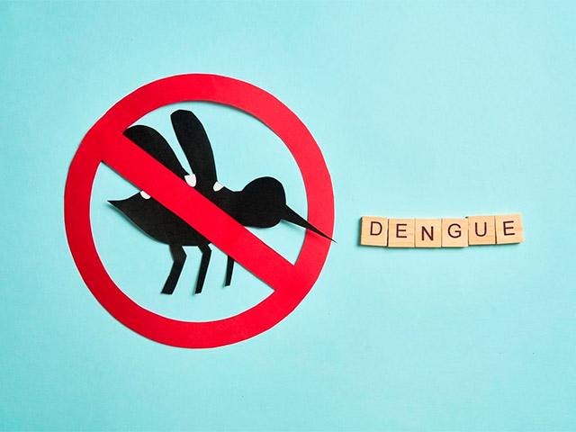 Dengue en temporada de lluvias: cómo prevenirlo a tiempo