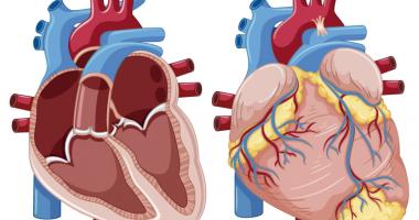 Presion Arterial Baja Hipotension Que Es Y Sintomas Bupa