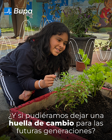 Día Internacional contra el Cambio Climático