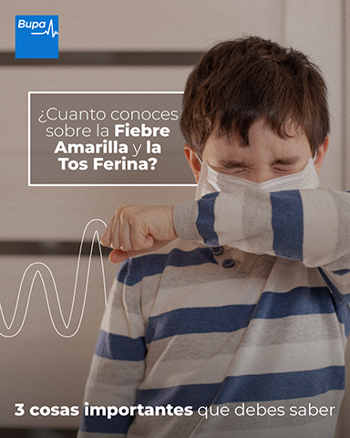 Fiebre amarilla y tos ferina